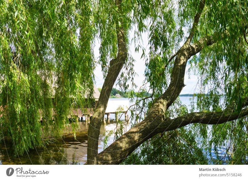 Angelhütte am See in der Nähe von Krakau am See mit einem Steg. Angeln im Binnenland Fischerhütte Fischen Dach Rebendach Ufer Haus. Haus am See Wasser Erholung