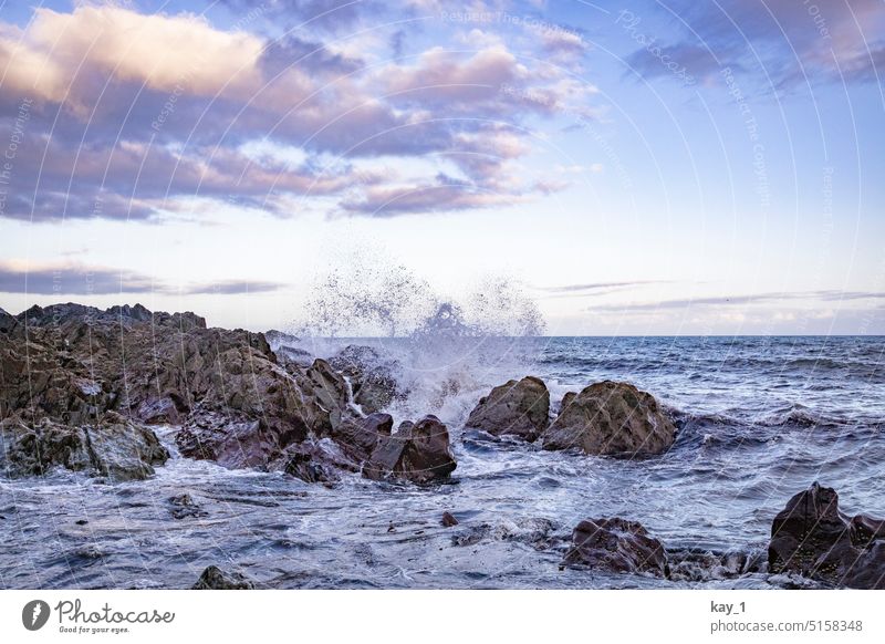 Felsenküste mit Wellen im Abendlicht Küste Meer Wasser Stein Landschaft Himmel Natur Horizont blau Abenddämmerung Wellengang Wellenschlag Küstenlandschaft