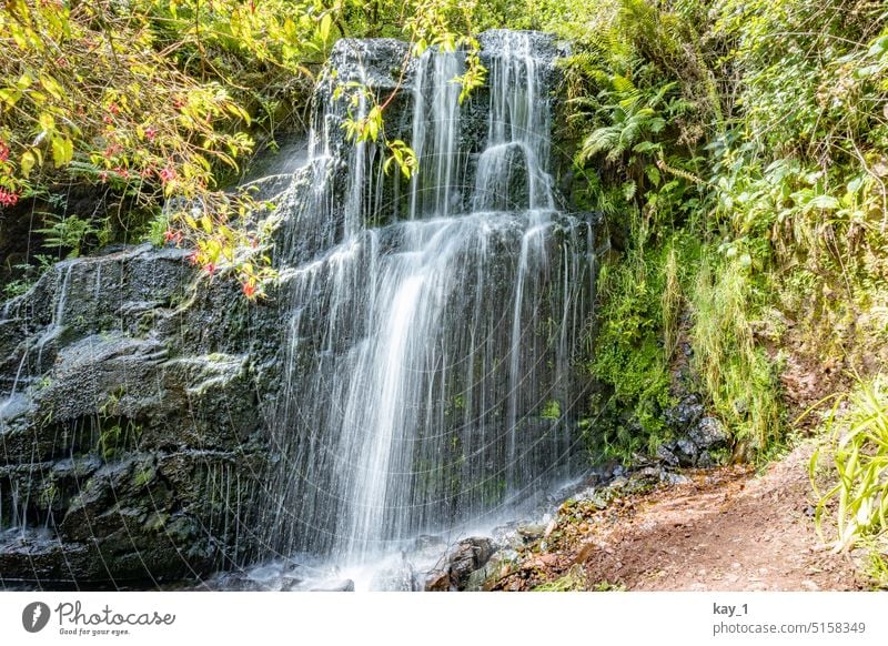 Wasserfall, eingerahmt von Bäumen fließen Natur Außenaufnahme Bach Fluss nass Felsen Stein Umwelt Wald grün Landschaft natürlich schön Baum strömen Park frisch