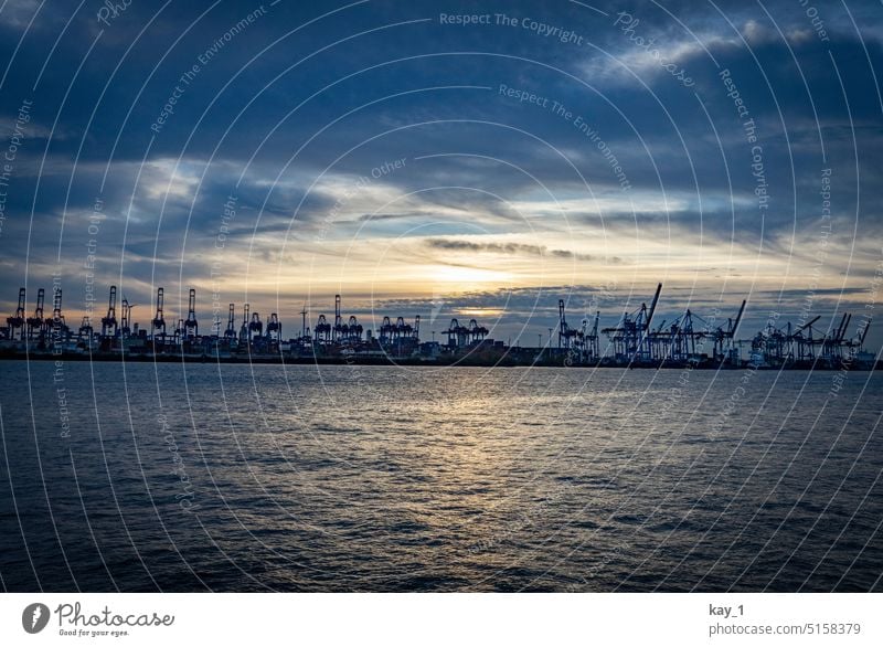 Hamburger Hafen in der Abenddämmerung Elbe Fluss Sonnenuntergang blaue Stunde Wolkenhimmel Küste kräne Containerterminal containerhafen Wasser Hafenstadt