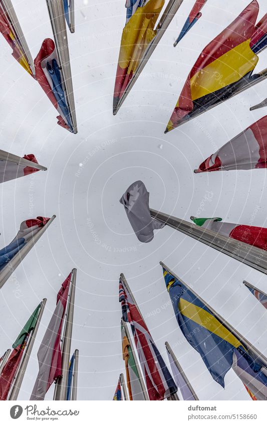 Europäische Flaggen im Winter mit Schneefall Europa Fahnenmast am Boden Look up oben Himmel wehen Politik & Staat Nationalflagge Patriotismus Deutsche Flagge