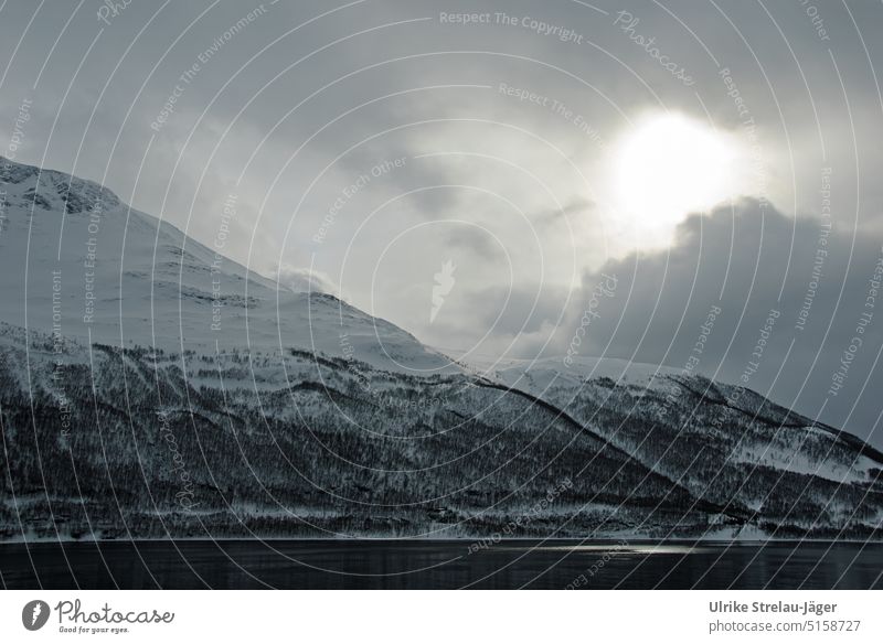 Sonne hinter Wolken an einem winterlichen Fjord mit einem einsamen Haus einsames Haus Winter Wintertag Berghang Wald schneebedeckt Schnee kalt Winterstimmung