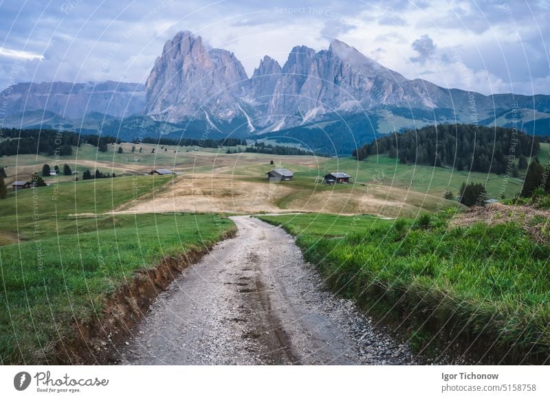 Italienische Dolomiten. Seiser Alm oder Seiser Alm Standort, Provinz Bozen, Südtirol, Italien, Europa Morgen Berge sonnig di siusi Alpe Landschaft Wiese Natur