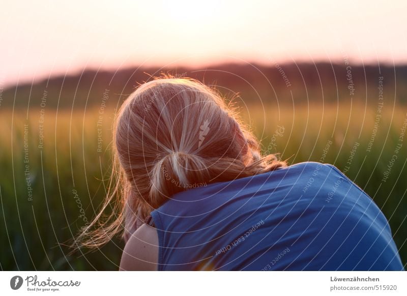 Lichtphotografin Mensch feminin Junge Frau Jugendliche Kopf Haare & Frisuren 1 18-30 Jahre Erwachsene Landschaft Feld Top blond langhaarig Zopf beobachten