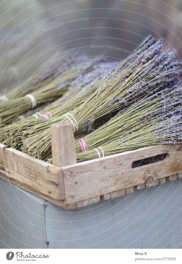 Lavendel Lebensmittel Kräuter & Gewürze Ernährung Bioprodukte Italienische Küche Blume Blüte Blühend Duft verblüht trocken violett Wochenmarkt Holzkiste