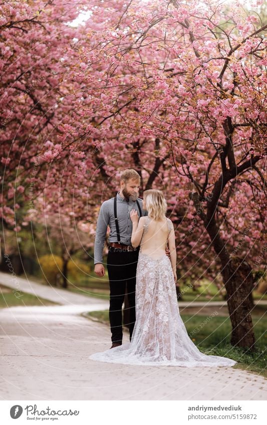 Schöne, fröhliche und lebendige Jungvermählten, Bräutigam und Braut sind in der Nähe der blühenden rosa Kirschblüte umarmt. Hochzeit Porträt einer Nahaufnahme von einem lächelnden bärtigen Bräutigam und eine süße Braut.