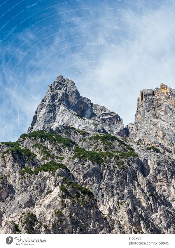 Blick auf die Mühlsturzhörner im Berchtesgadener Land in Bayern Ramsauer Dolomiten Klausbachtal Alpen Gebirge Berg Baum Wald Landschaft Natur Sommer Wolken