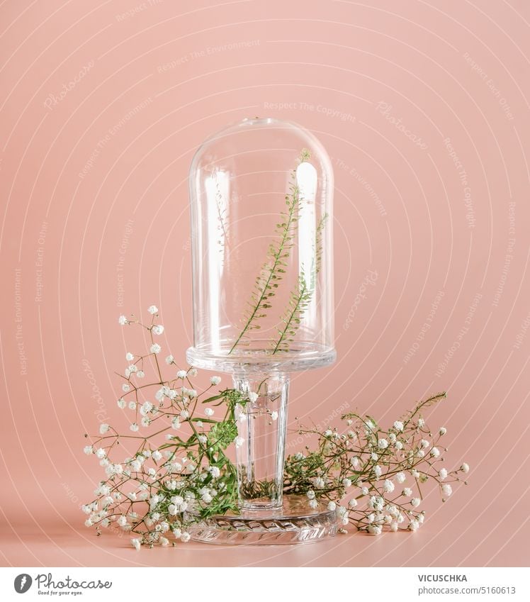 Leere Glaskuppel mit grünen Blättern und Schleierkraut Blumen auf Pastell rosa Hintergrund. Scene Bühne Schaufenster Mock up. Werbung Vorlage leer grüne Blätter