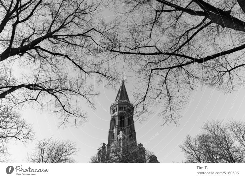 Zionskirche Kirche Berlin Mitte s/w Winter Baum Schwarzweißfoto Außenaufnahme Tag Architektur Menschenleer Stadt Stadtzentrum Hauptstadt Bauwerk Berlin-Mitte