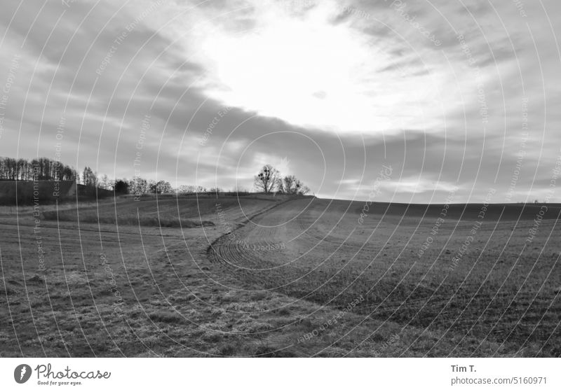 Brandenburg / Feld / s/w Winter Himmel Wolken bnw Schwarzweißfoto Außenaufnahme Tag Menschenleer b/w