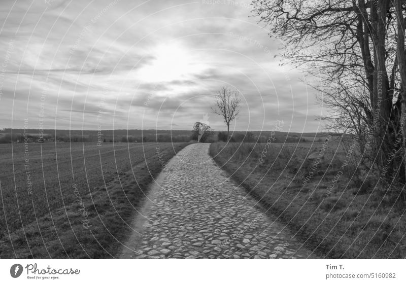 Kopfsteinpflaster in der Uckermark Wege & Pfade s/w Winter Feld Schwarzweißfoto b/w Außenaufnahme b&w Tag ruhig Menschenleer Einsamkeit Brandenburg Straße