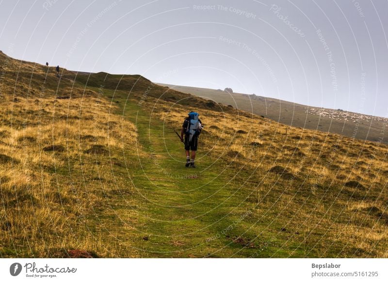 Pilger auf dem Jakobsweg, französische Pyrenäen Pilgerfahrt laufen Weg Route grün Vegetation Rucksack camino de santiago Wiese Gras Nebel weg des heiligen jakob