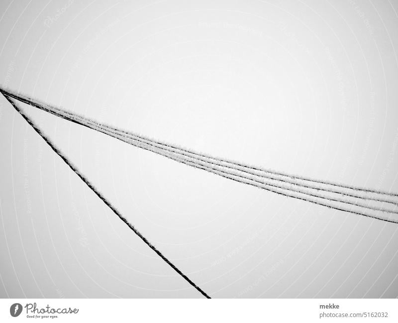 Raureifgirlanden Stromkabel bewölkt nebeneinander Energiewende Spannung Technik & Technologie Wolken Frost Kabelstrang Hochspannung Klima Kälte