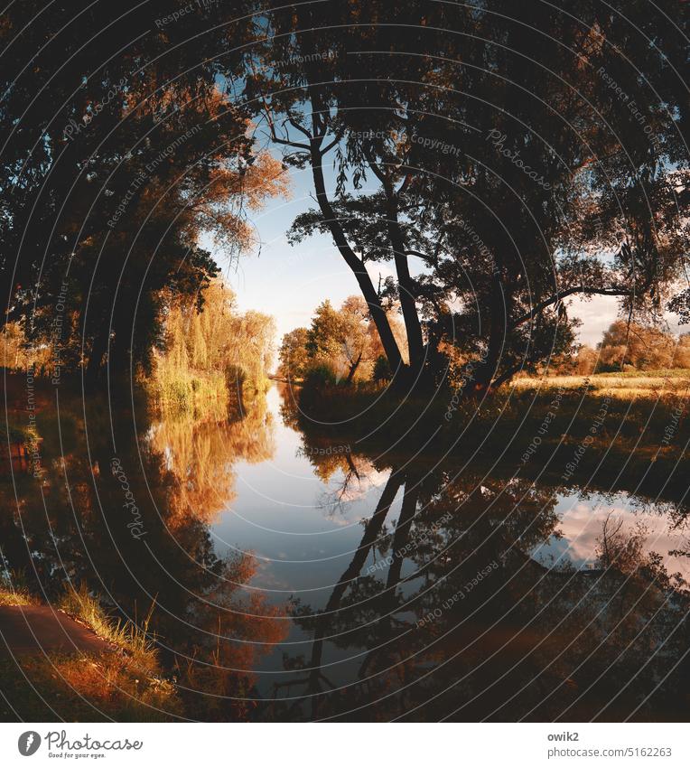 Sammelbecken Kleiner Spreewald Brandenburg Wahrenbrück Wasser Baum Menschenleer Reflexion & Spiegelung ruhig Himmel Schönes Wetter geheimnisvoll Kontrast