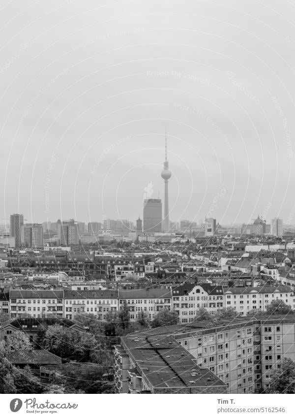 Blick über Prenzlauer Berg bis zum Fernsehturm Berlin Winter s/w bnw Stadt Stadtzentrum Hauptstadt Schwarzweißfoto Außenaufnahme Tag Menschenleer Altstadt