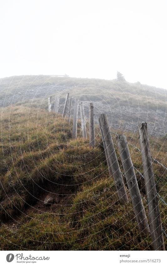 Aufstieg Umwelt Natur Landschaft Herbst schlechtes Wetter Nebel Gras Feld Hügel gruselig natürlich grau grün Zaun Farbfoto Gedeckte Farben Außenaufnahme