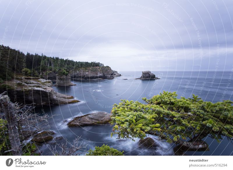 Washington Coast Ferien & Urlaub & Reisen Meer Wellen Natur Landschaft Wasser Felsen Küste Bucht träumen wandern blau Abenteuer entdecken Erholung Idylle