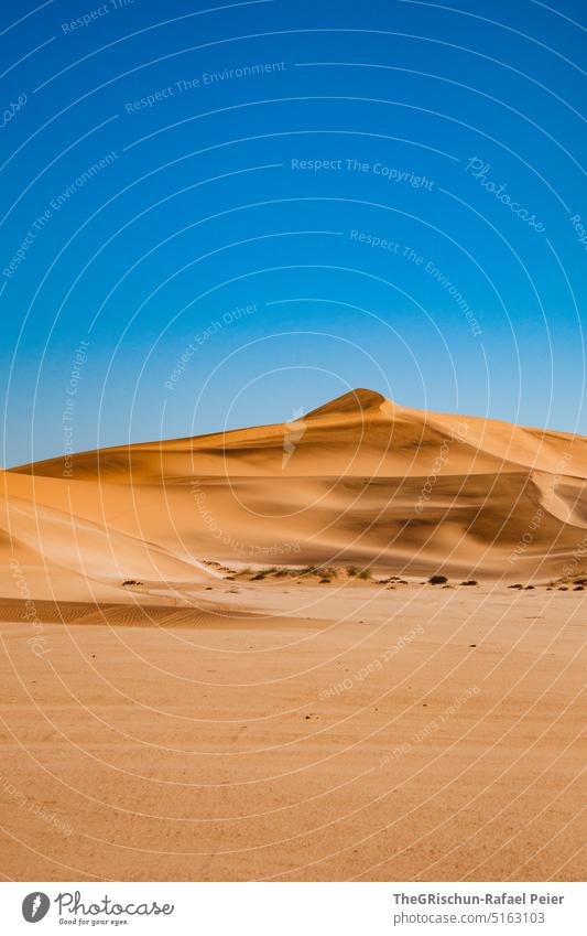 Düne vor blauem Himmel Muster Sand Namibia Sandkörner Musterung Natur Landschaft Afrika Ferne Wärme Farbfoto Dünen Farben sandig