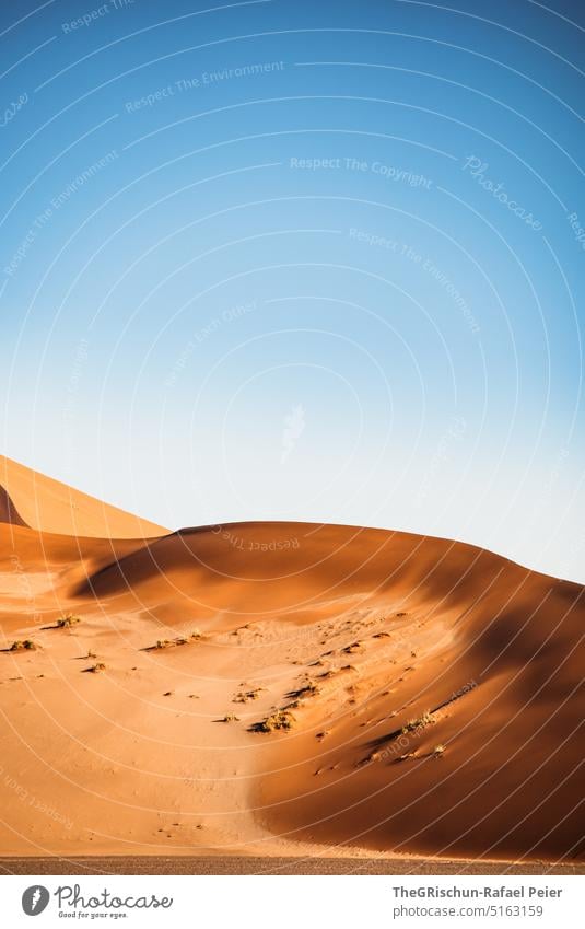 Sanddüne vor blauem Himmel Namibia Wüste Sossusvlei Düne trocken heiß Afrika Landschaft Natur Ferne Wärme Abenteuer Einsamkeit Ferien & Urlaub & Reisen reisen