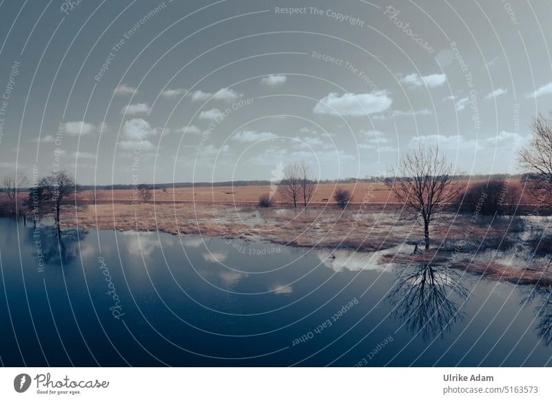 Das Teufelsmoor im Winter Moor Landschaft Osterholz-Scharmbeck Worpswede Natur Deutschland Bremen mystisch ruhig Außenaufnahme Ferien & Urlaub & Reisen Erholung