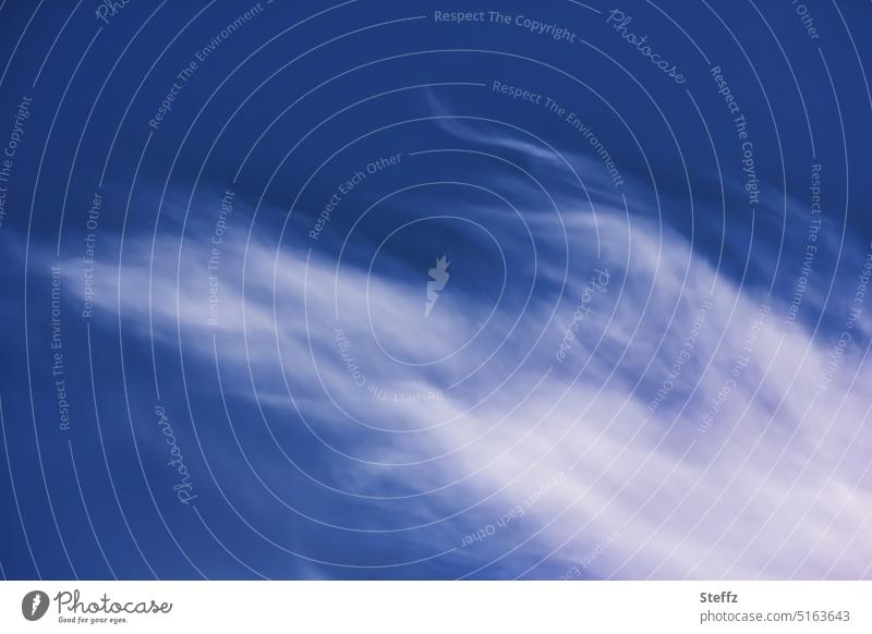 eine Wolke vom Winde verweht Cirruswolke Zirrus Zirruswolke weiße Wolke flüchtig vom winde verweht federleicht Flüchtigkeit Leichtigkeit Himmelblau Wetter