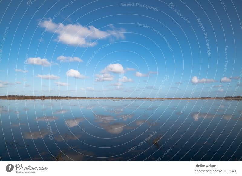 Überschwemmte Wiesen im Teufelsmoor Himmel Erholung Niedersachsen Reflexion & Spiegelung Schönwetterwolken Wolken Bremen Natur Überschwemmung Hamme Hochwasser