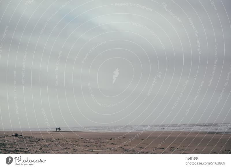 eine kleine Gruppe  Menschen am weiten Strand mit Sandsturm, Nebel und diesiger Sicht. Brandung Dänemark Sandstrand Herbst Strandspaziergang Sturm Verwehung