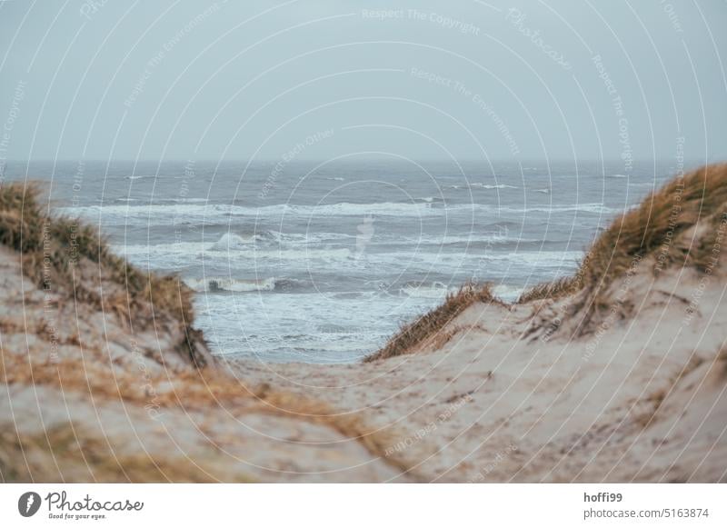 Blick über eine Düne auf Gischt und aufgewühlte See bei schlechtem, stürmischen Wetter Dänemark Regen Natur im Freien nass wasserdicht regnerisch Wasser fallen