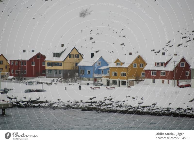 bunte Holzhäuser am Meer im Schnee holzhaus gelb rot hellblau Winter kalt Wasser Küste Hafen einsame Siedlung Schneehang weiß winterruhe Frost gefroren Tag