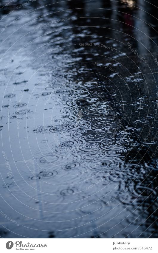 Drip Drip Drip Wasser Wassertropfen Herbst schlechtes Wetter Regen kalt nass trist Stadt blau schwarz Traurigkeit Trauer Liebeskummer Enttäuschung Einsamkeit