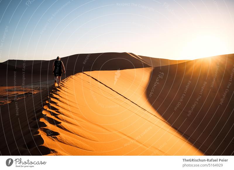 Sonnenuntergang auf Düne Sand Namibia Afrika reisen Wüste Landschaft Abenteuer Natur Wärme Sossusvlei Ferne Schatten Licht Blauer Himmel sandig touristisch