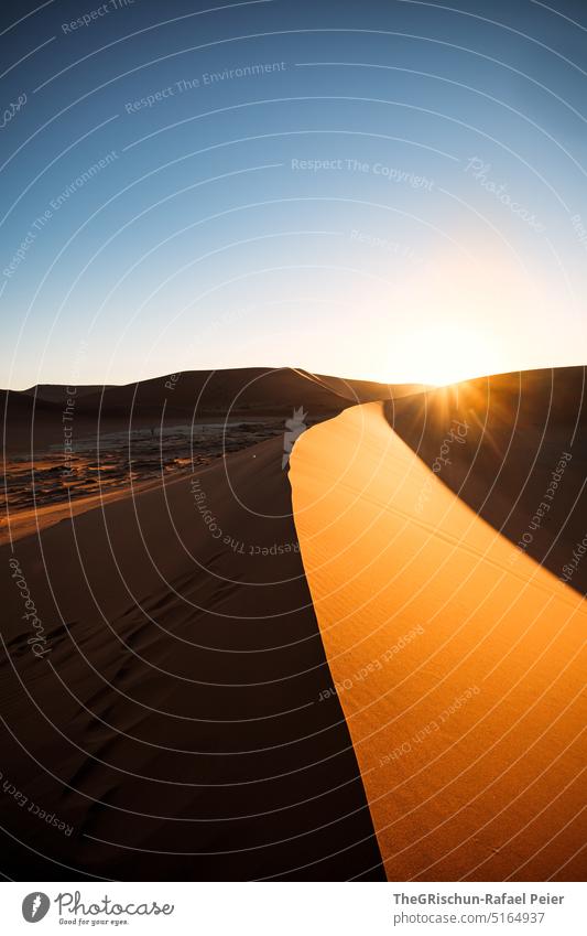 Sonnenuntergang auf Düne Sand Namibia Afrika reisen Wüste Landschaft Abenteuer Natur Wärme Sossusvlei Ferne Schatten Licht Blauer Himmel sandig Menschenleer