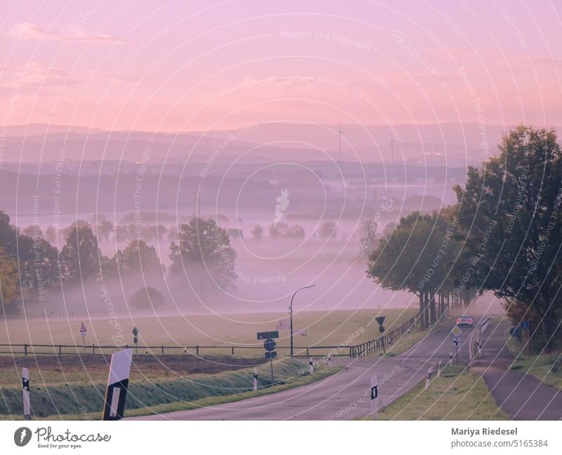 Straße im Morgen Nebel, Sonnenaufgang Nebelschleier Nebelstimmung Morgendämmerung Morgendunst Landschaft Menschenleer Außenaufnahme morgens ruhig Stimmung