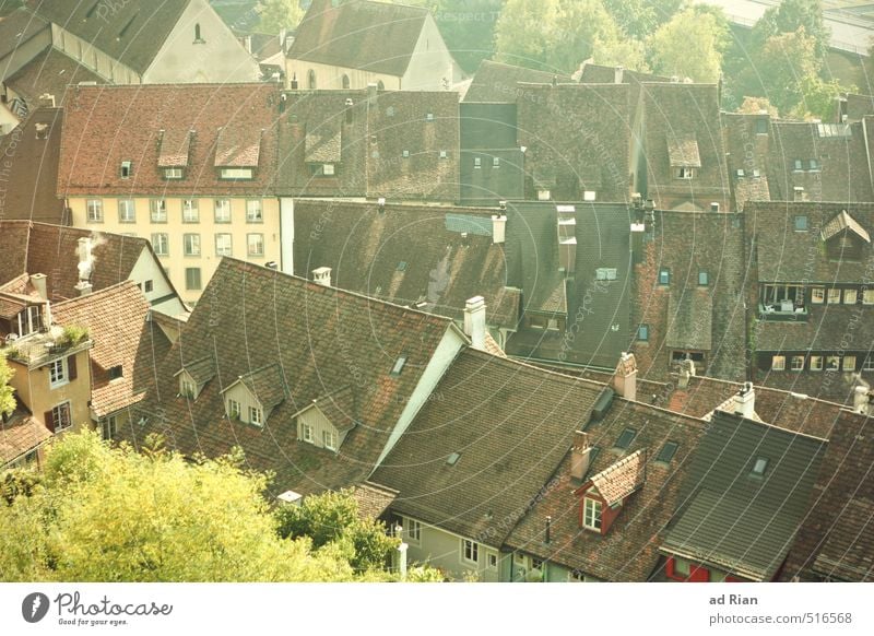 It's Hard To Be A Saint In The City Herbst Schönes Wetter Baum Dorf Kleinstadt Altstadt Haus Kirche Platz Marktplatz Gebäude Architektur Mauer Wand Dach