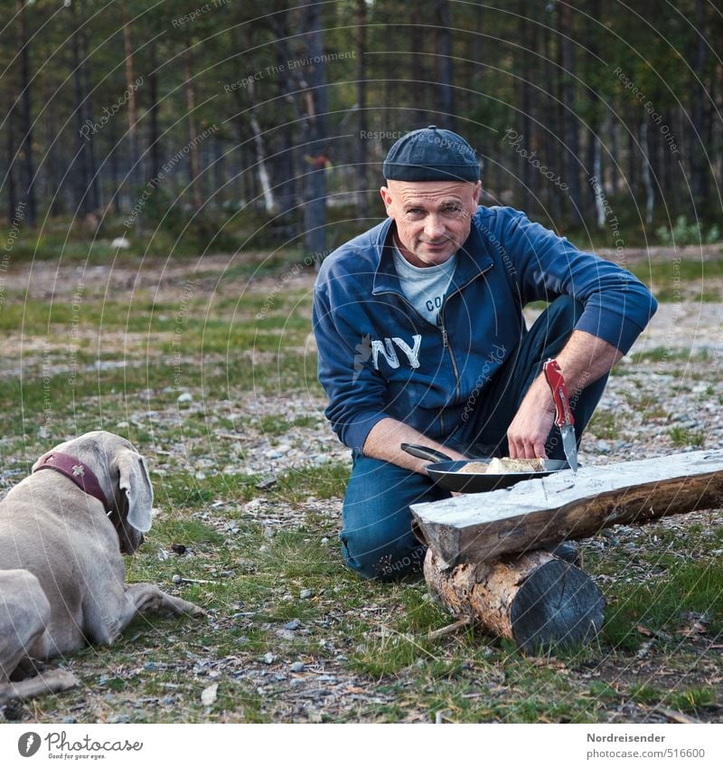 Mann und Hund kochen auf einem Campingplatz Ernährung Abendessen Picknick Bioprodukte Pfanne Lifestyle Wohlgefühl Zufriedenheit Ferien & Urlaub & Reisen