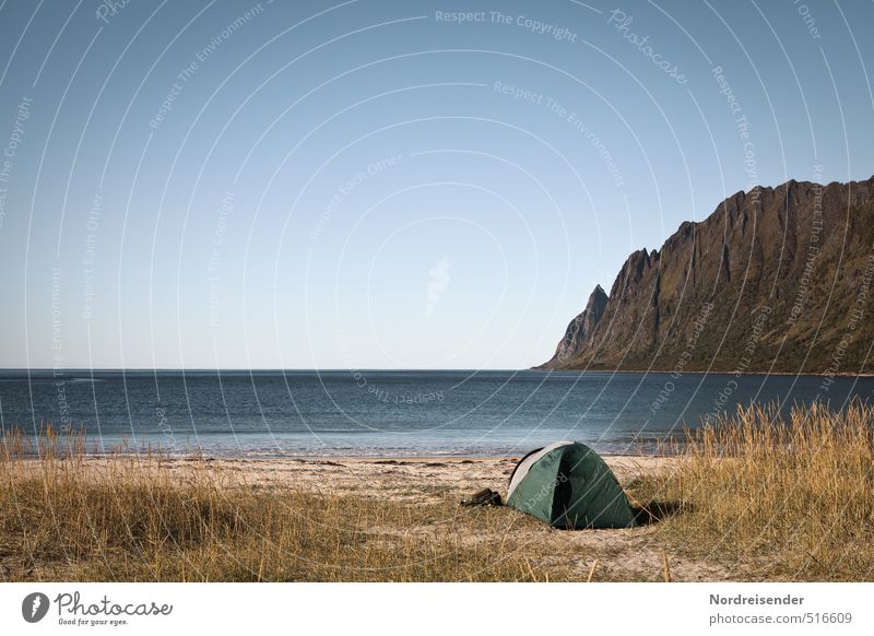 Senja ruhig Ferien & Urlaub & Reisen Tourismus Abenteuer Ferne Freiheit Camping Sommer Sommerurlaub Sonne Strand Meer Wolkenloser Himmel Schönes Wetter Gras