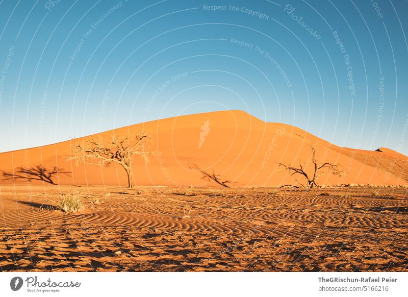 Sanddühne mit Sandmuster im Vordergrund Düne Namibia Afrika reisen Wüste Landschaft Abenteuer Natur Wärme dune 45 Sossusvlei Ferne braun goldig sandig imposant