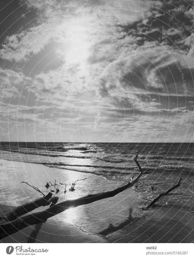 Hürdenlauf Strandspaziergang Weststrand Wasser Wolken Schwarzweißfoto Küste Sonnenlicht Urelemente Menschenleer Luft Einsamkeit Überblick Sehnsucht