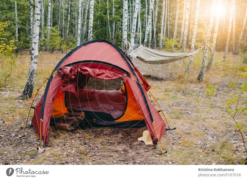 Camping rotes Zelt in Birkenhain. Hängematte, Sonnenuntergang Licht. Abenteuer, Reisen, Freizeit Hintergrund wandern Berge u. Gebirge Sport Sommer reisen