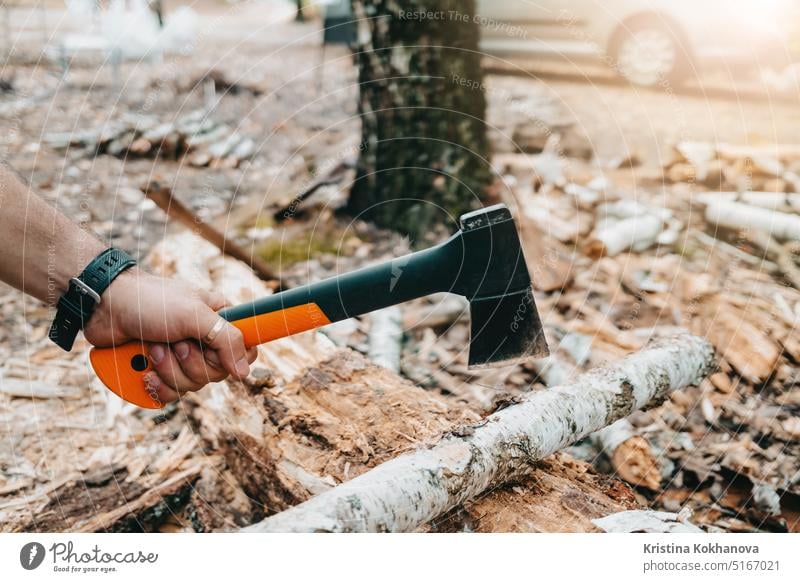 Männliche Hand mit kleiner Axt. Schneiden von Birkenholz in Camping für Lagerfeuer geschnitten Brennholz Wald Totholz Holz Waldarbeiter Mann im Freien Nutzholz