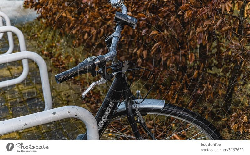 Ein schwarzes Fahrrad wurde vom Regen überrascht, es lehnt an grauen Fahrradständers. Zu sehen sind fokussiert der Fahrradlenker und der obere teil des Vorderrades. Links im Bild sind Teile von vier Fahrradständer zu sehen, eine Buchenhecke im Hintergrund