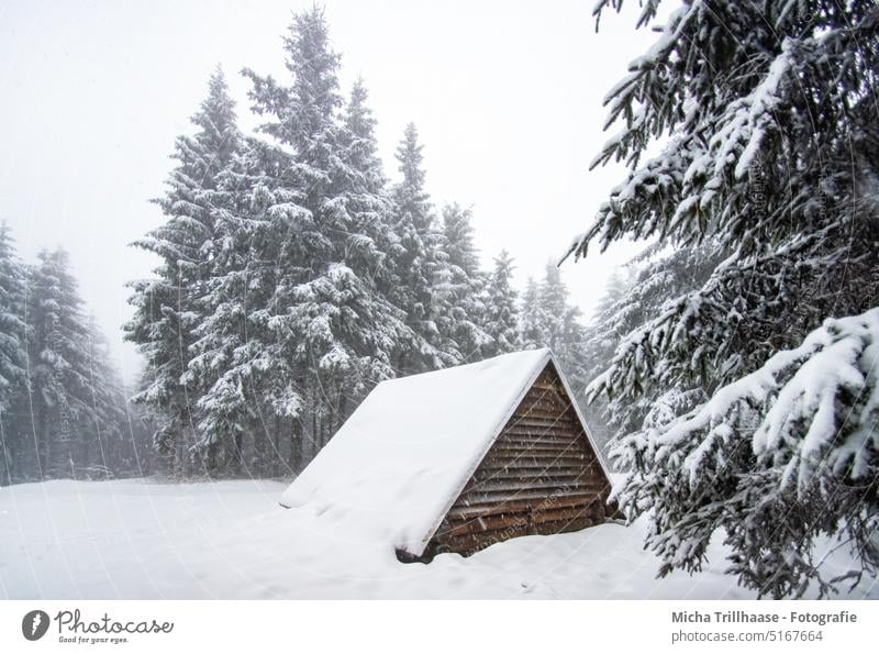 Hütte im verschneiten Wald Thüringen Thüringer Wald Schneekopf Winter Winterlandschaft Holzhütte Schutzhütte Bäume Himmel Urlaub Ferien & Urlaub & Reisen Natur