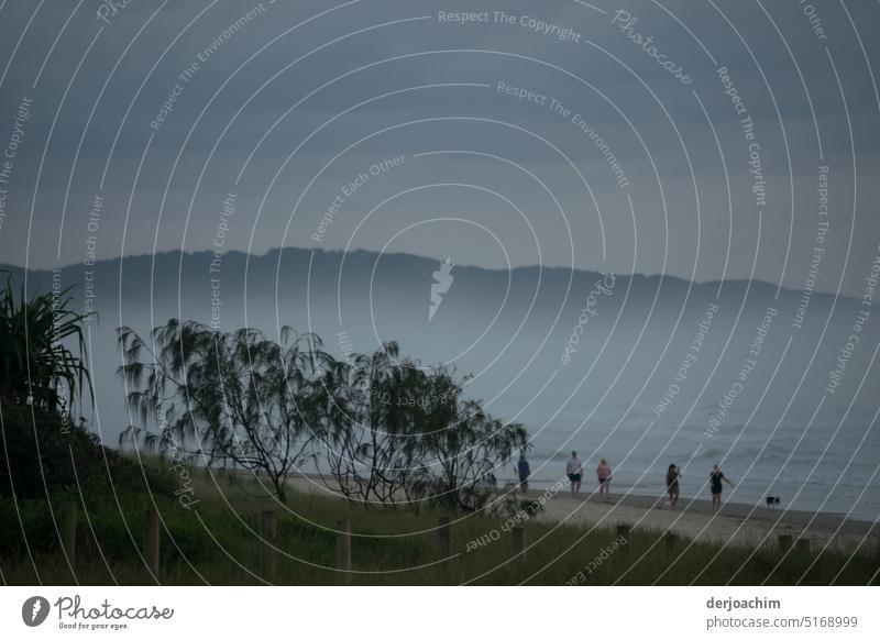 Die ersten Strandläufer sind in den frühen Morgenstunden schon unterwegs.Der Nebelschleier hält sich noch. nebeliger Morgen Morgendämmerung Morgennebel