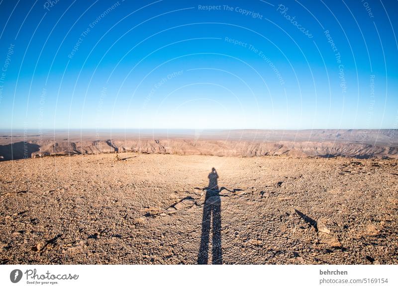 schattenspieler Afrika Namibia Außenaufnahme Ferne allein Wüste Fernweh Einsamkeit Farbfoto Landschaft Abenteuer Freiheit Ferien & Urlaub & Reisen beeindruckend