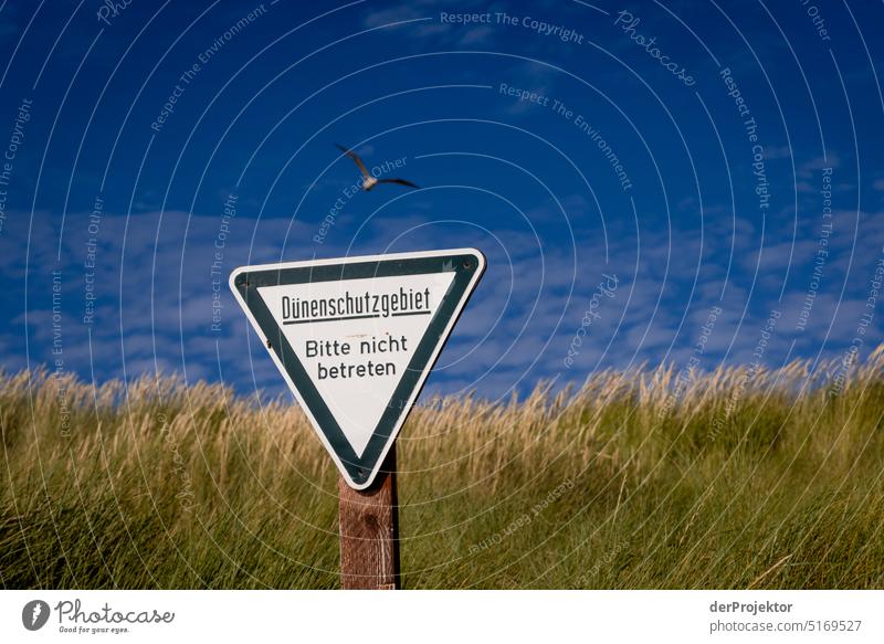 Naturschutzschild auf der Helgoland-Düne II Strand Sonnenbad Artenreichtum Naturerlebnis Naturschutzgebiet Textfreiraum oben Strukturen & Formen