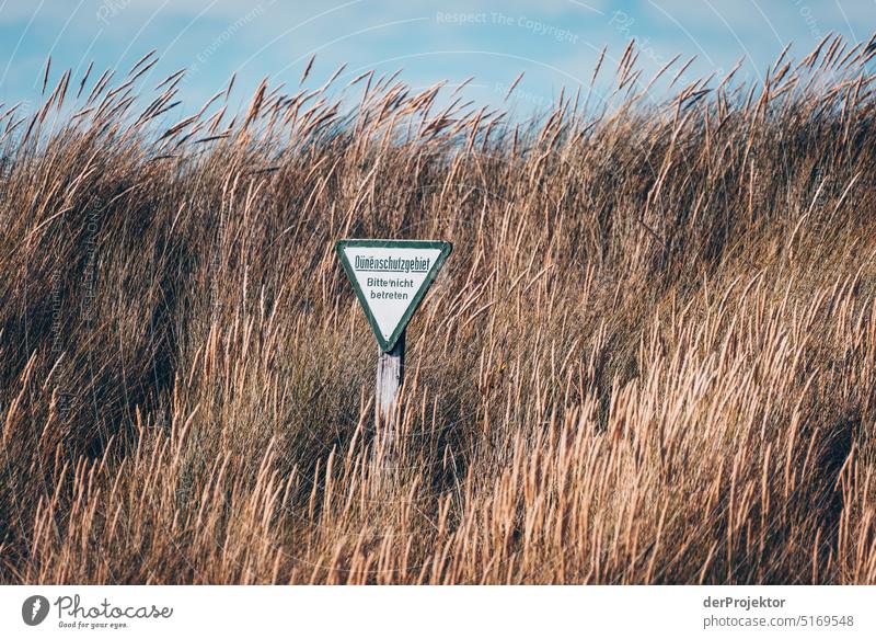 Naturschutzschild auf der Helgoland-Düne I Strand Sonnenbad Artenreichtum Naturerlebnis Naturschutzgebiet Textfreiraum oben Strukturen & Formen