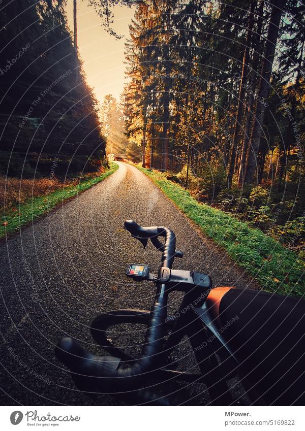 radtour im wald Rennrad Fahrrad fahren Sport Wald Waldweg Ausflug hobby Freizeit & Hobby Lenker Bein Rad Sonnenstrahlen Fahrradfahren Straße Bewegung sportlich