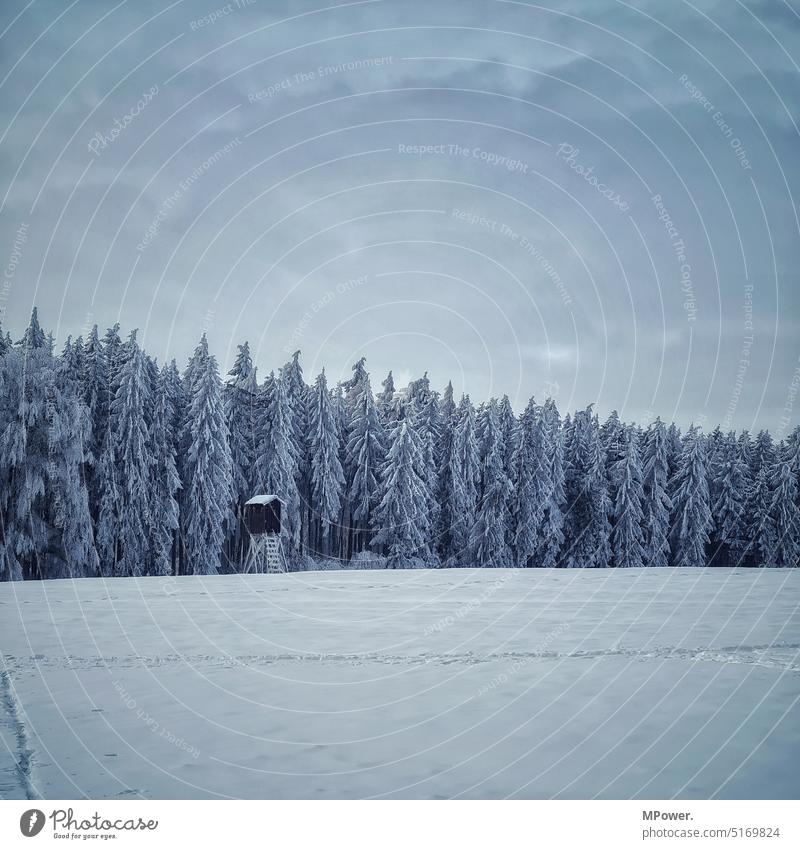 winterwald mit Hochstand Winterwald Schnee Feld hochstand Jägersitz Hochsitz Schneedecke kalt weiß Natur Landschaft Wintertag Winterstimmung Schneelandschaft