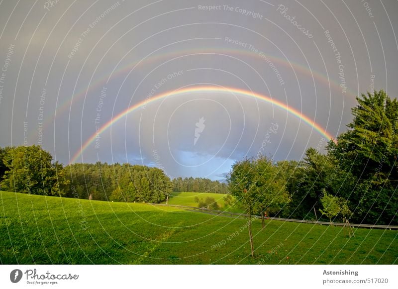 doppelter Bogen Umwelt Natur Landschaft Pflanze Luft Wasser Himmel Wolken Gewitterwolken Sommer Wetter Schönes Wetter Regen Baum Gras Sträucher Wiese Feld Wald