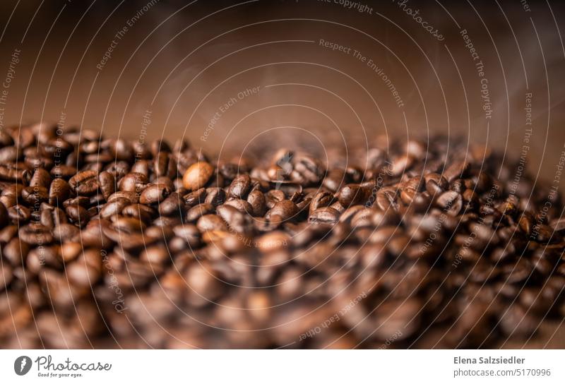 Kaffee Rösterei rösten Kaffeebohnen Café Bohnen Espresso Frühstück Kaffeeröstmaschine heiß geröstet Nahaufnahme aromatisch Lebensmittel Cappuccino